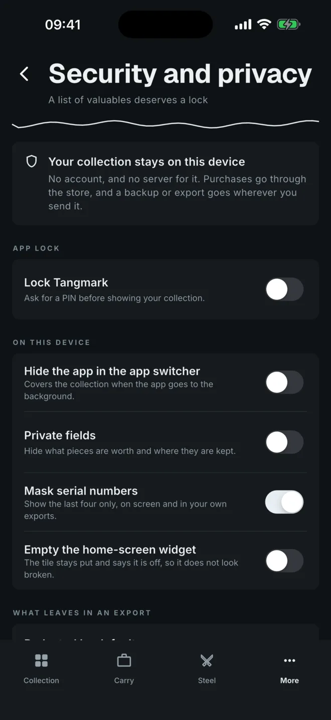 Security and privacy settings: app lock, private fields, masked serials