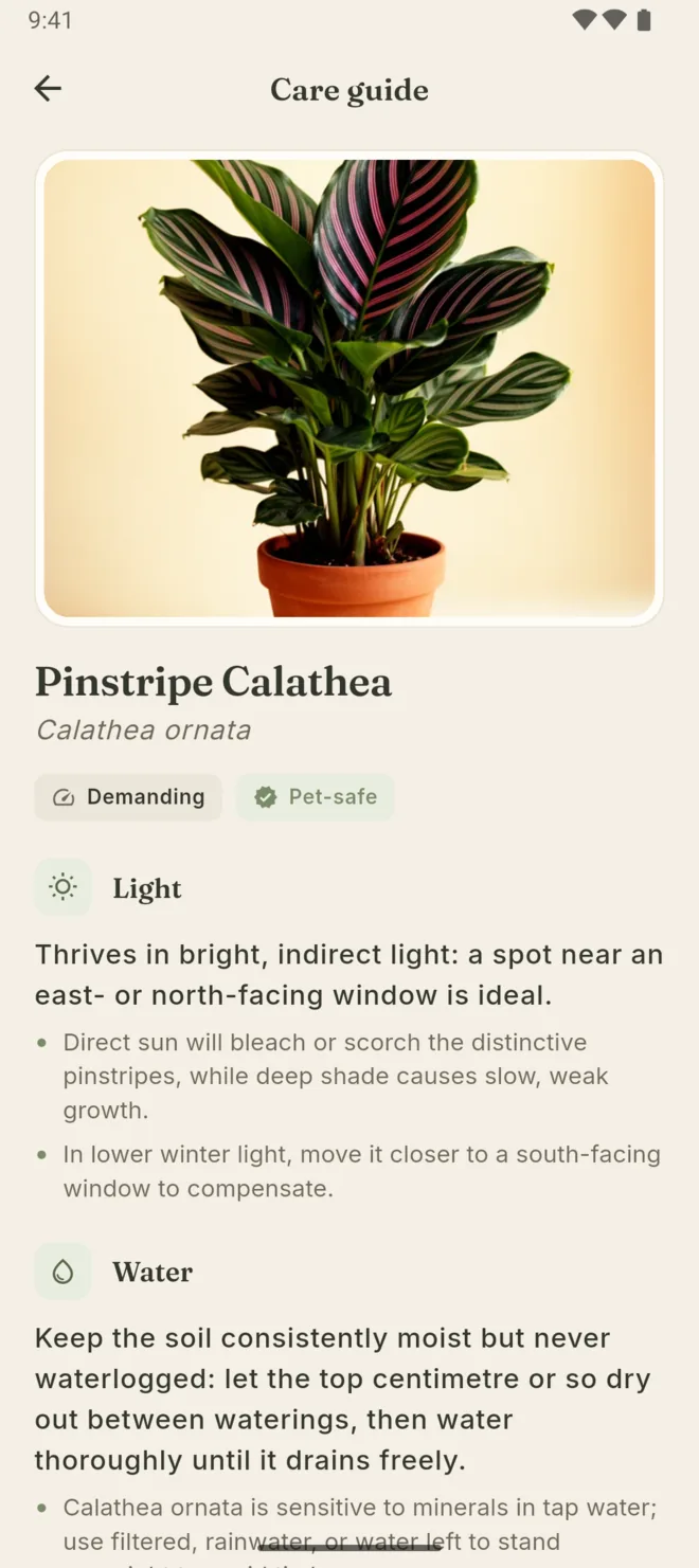 Android: a species care guide